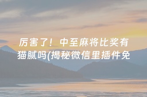 厉害了！中至麻将比奖有猫腻吗(揭秘微信里插件免费)