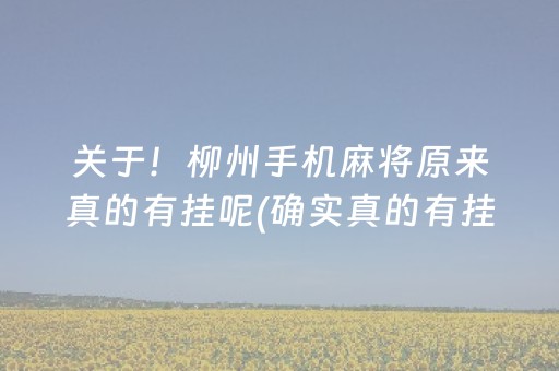 关于！柳州手机麻将原来真的有挂呢(确实真的有挂)