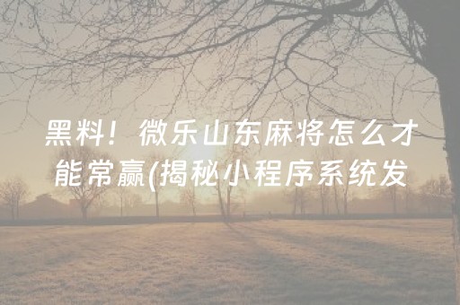 黑料！微乐山东麻将怎么才能常赢(揭秘小程序系统发好牌)