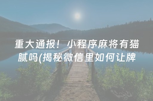 重大通报！小程序麻将有猫腻吗(揭秘微信里如何让牌变好)