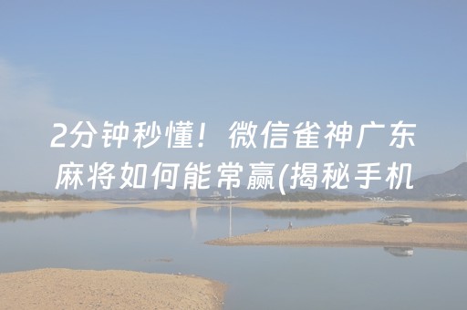 2分钟秒懂！微信雀神广东麻将如何能常赢(揭秘手机上助攻神器)