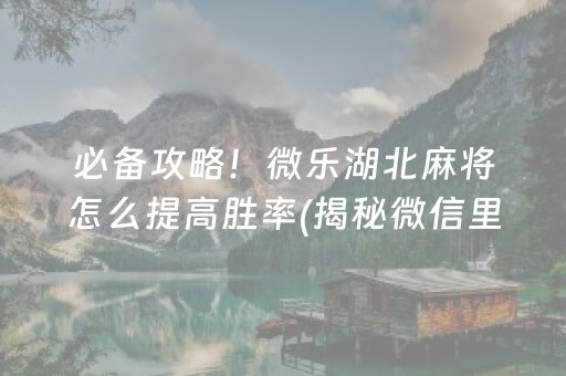 必备攻略！微乐湖北麻将怎么提高胜率(揭秘微信里怎么容易赢)