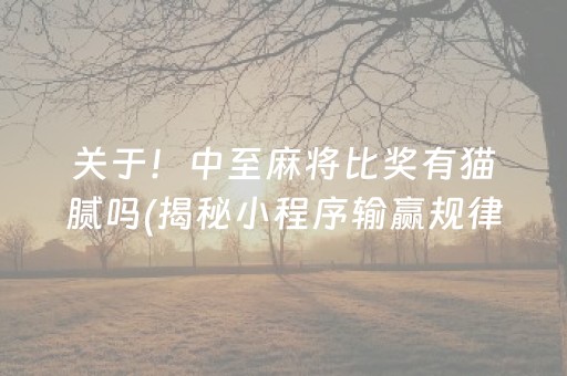 关于！中至麻将比奖有猫腻吗(揭秘小程序输赢规律)