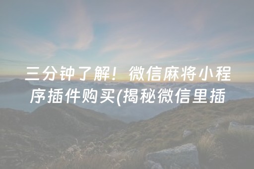 三分钟了解！微信麻将小程序插件购买(揭秘微信里插件下载)