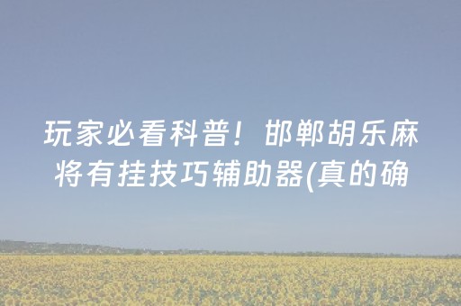 玩家必看科普！邯郸胡乐麻将有挂技巧辅助器(真的确实是有挂)