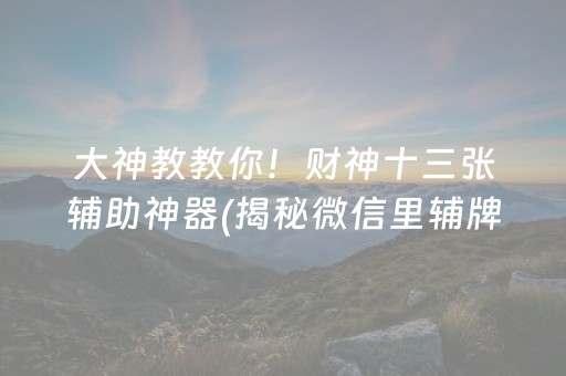 大神教教你！财神十三张辅助神器(揭秘微信里辅牌器)