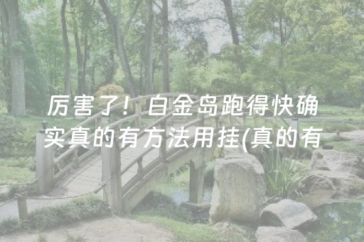 厉害了！白金岛跑得快确实真的有方法用挂(真的有挂)