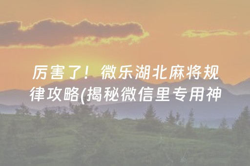 厉害了！微乐湖北麻将规律攻略(揭秘微信里专用神器下载)