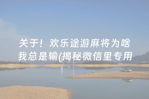 关于！欢乐途游麻将为啥我总是输(揭秘微信里专用神器下载)