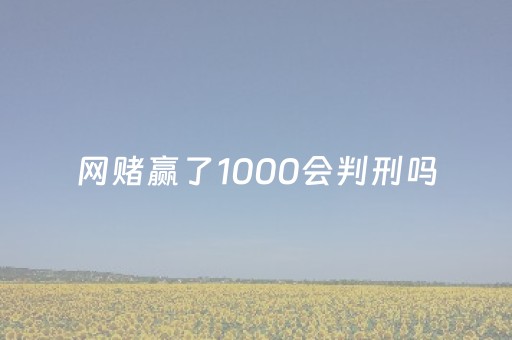 网赌赢了1000会判刑吗（网赌赢了一千就走了）