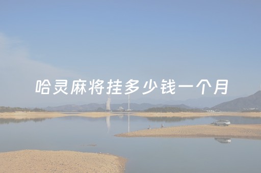 哈灵麻将挂多少钱一个月（哈灵麻将 挂）