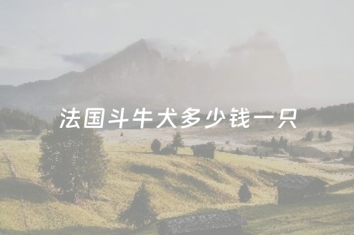 法国斗牛犬多少钱一只（法国斗牛犬多少钱一只白色）