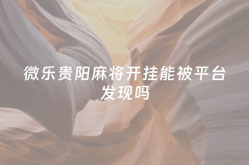 微乐贵阳麻将开挂能被平台发现吗（微乐贵阳麻将免费手机版）