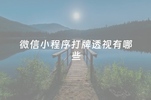 微信小程序打牌透视有哪些（微信小程序棋牌透视）