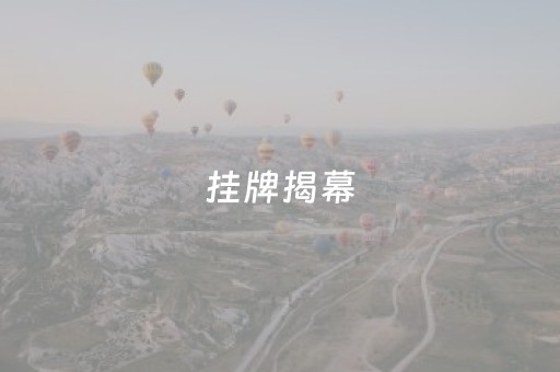 挂牌揭幕（挂牌揭幕布）