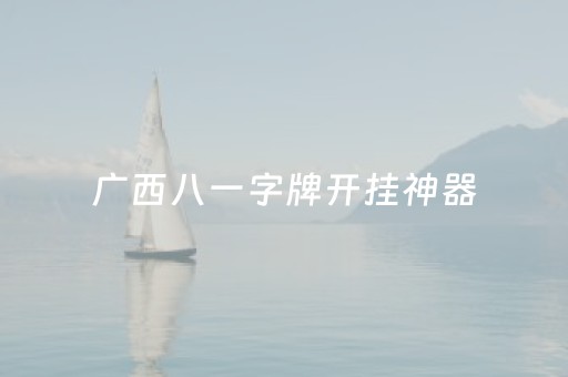 广西八一字牌开挂神器（广西八一字牌透视挂）
