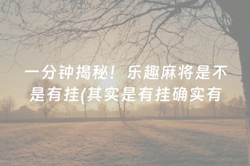 一分钟揭秘！乐趣麻将是不是有挂(其实是有挂确实有挂)