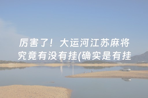 厉害了！大运河江苏麻将究竟有没有挂(确实是有挂)