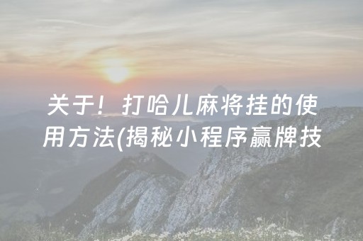 关于！打哈儿麻将挂的使用方法(揭秘小程序赢牌技巧)