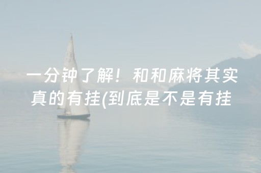 一分钟了解！和和麻将其实真的有挂(到底是不是有挂)