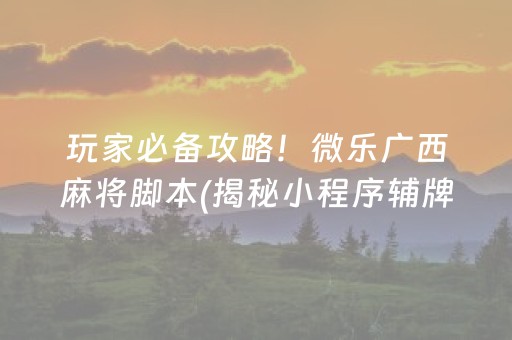 玩家必备攻略！微乐广西麻将脚本(揭秘小程序辅牌器)