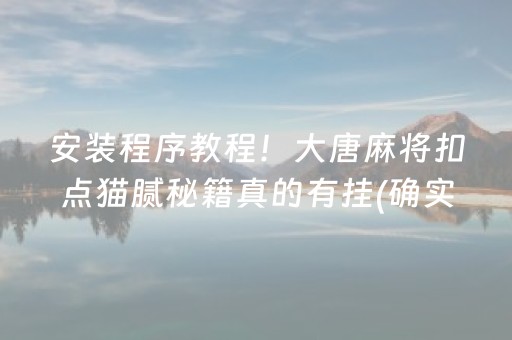 安装程序教程！大唐麻将扣点猫腻秘籍真的有挂(确实有挂)