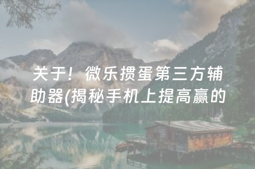 关于！微乐掼蛋第三方辅助器(揭秘手机上提高赢的概率)