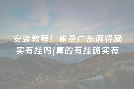 安装教程！雀圣广东麻将确实有挂吗(真的有挂确实有挂)