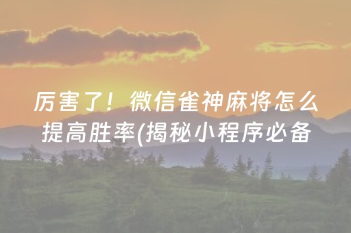厉害了！微信雀神麻将怎么提高胜率(揭秘小程序必备神器)