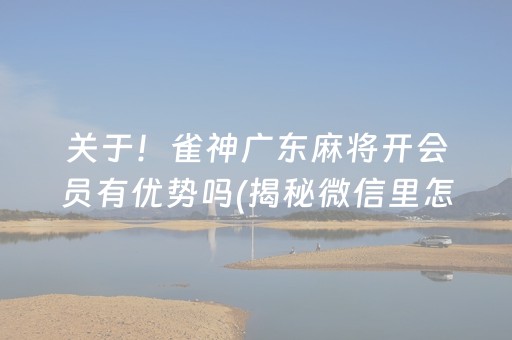关于！雀神广东麻将开会员有优势吗(揭秘微信里怎么容易赢)
