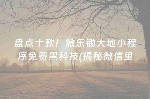 盘点十款！微乐锄大地小程序免费黑科技(揭秘微信里系统发好牌)