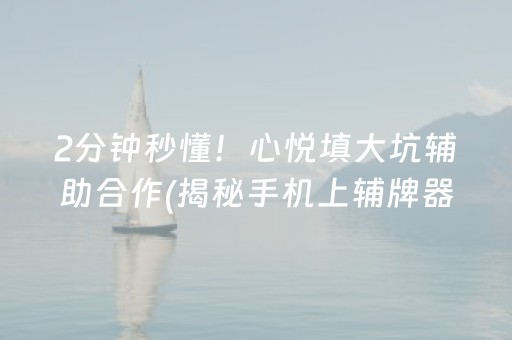 2分钟秒懂！心悦填大坑辅助合作(揭秘手机上辅牌器)