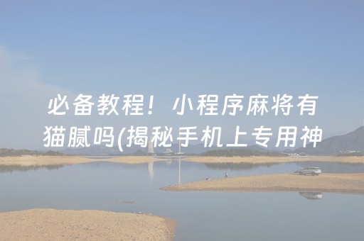 必备教程！小程序麻将有猫腻吗(揭秘手机上专用神器)