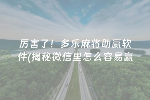 厉害了！多乐麻将助赢软件(揭秘微信里怎么容易赢)