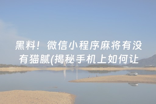 黑料！微信小程序麻将有没有猫腻(揭秘手机上如何让牌变好)