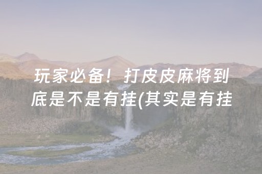 玩家必备！打皮皮麻将到底是不是有挂(其实是有挂的)