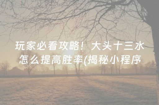 玩家必看攻略！大头十三水怎么提高胜率(揭秘小程序专用神器下载)