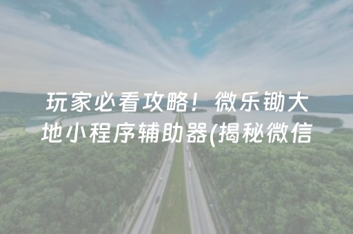 玩家必看攻略！微乐锄大地小程序辅助器(揭秘微信里插件购买)