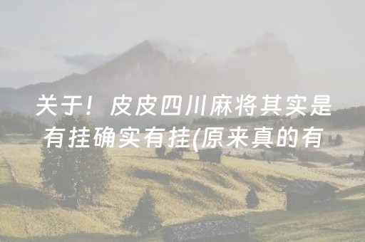 关于！皮皮四川麻将其实是有挂确实有挂(原来真的有挂)