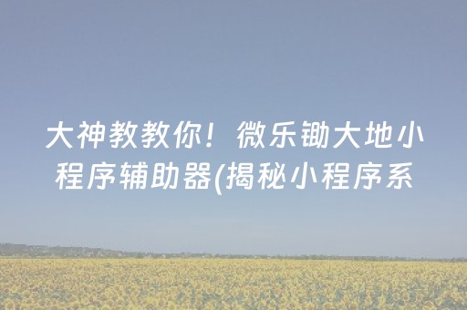 大神教教你！微乐锄大地小程序辅助器(揭秘小程序系统发好牌)