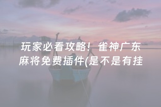 玩家必看攻略！雀神广东麻将免费插件(是不是有挂)
