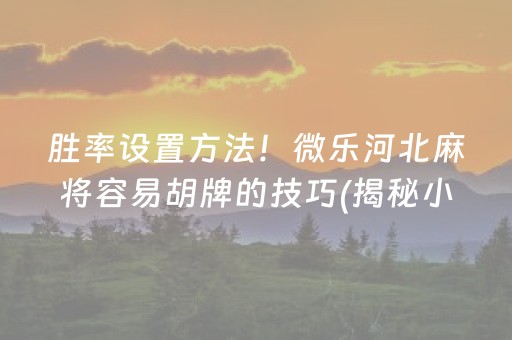 胜率设置方法！微乐河北麻将容易胡牌的技巧(揭秘小程序赢的诀窍)