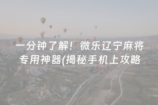 一分钟了解！微乐辽宁麻将专用神器(揭秘手机上攻略插件)