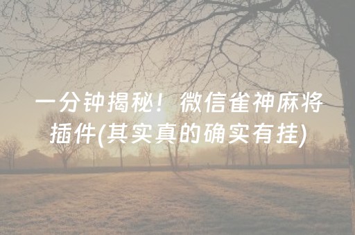 一分钟揭秘！微信雀神麻将插件(其实真的确实有挂)