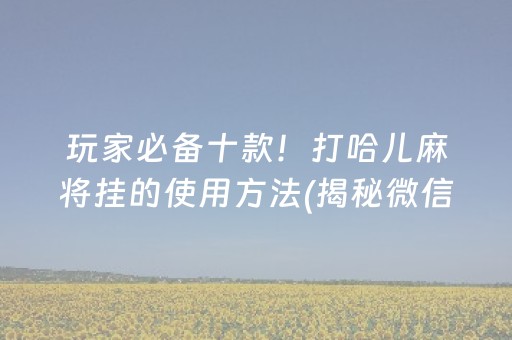 玩家必备十款！打哈儿麻将挂的使用方法(揭秘微信里最新神器下载)