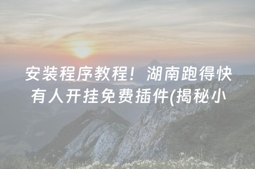 安装程序教程！湖南跑得快有人开挂免费插件(揭秘小程序怎么容易赢)