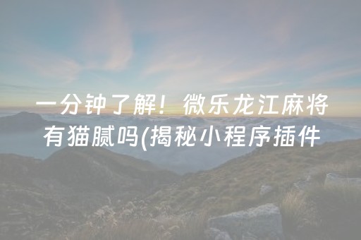 一分钟了解！微乐龙江麻将有猫腻吗(揭秘小程序插件下载)