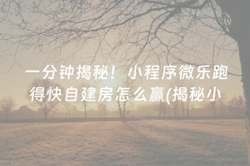 一分钟揭秘！小程序微乐跑得快自建房怎么赢(揭秘小程序系统发好牌)