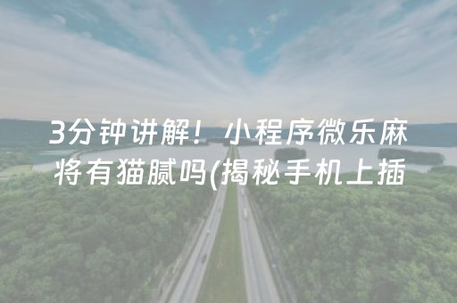 3分钟讲解！小程序微乐麻将有猫腻吗(揭秘手机上插件购买)