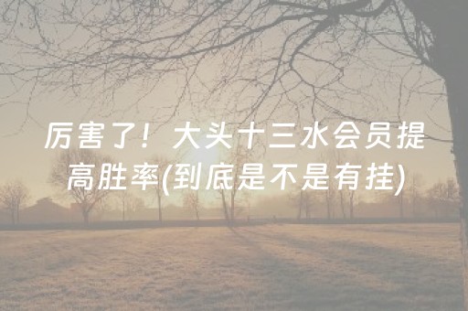 厉害了！大头十三水会员提高胜率(到底是不是有挂)